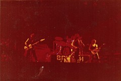 brit1.jpg